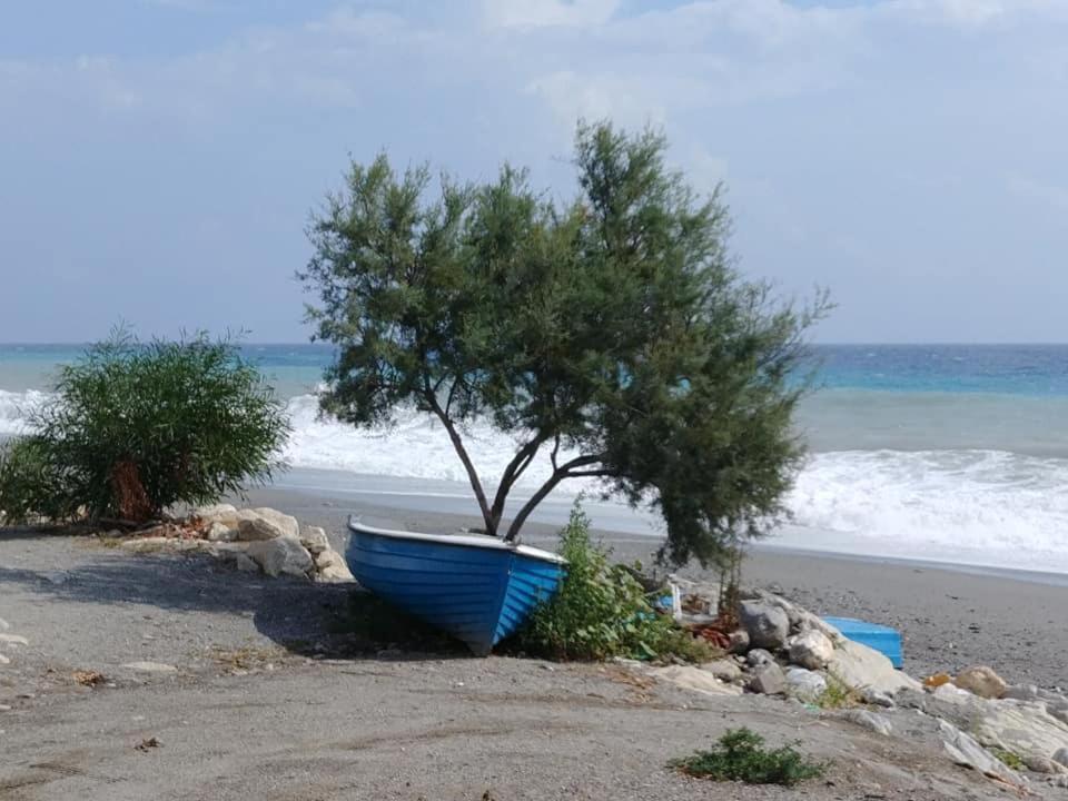 ميليتو دي بورتو سالفو B&B Nereidi المظهر الخارجي الصورة